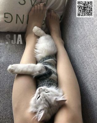 省港旗兵3_BD韩语免费在线播放