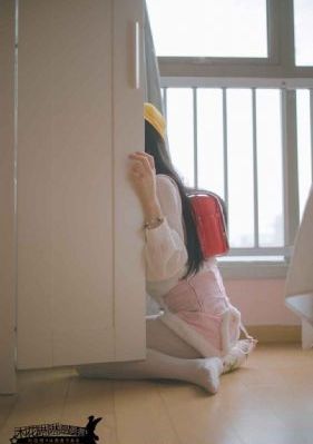 从爱情到幸福 电视剧_DVD高清视频播放
