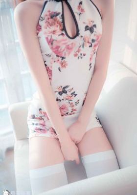 真探秦先生电视剧免费观看国语_高清手机在线看
